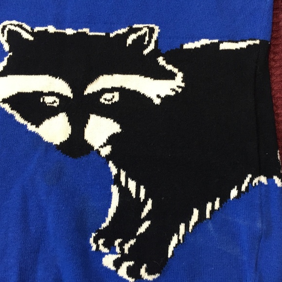 Uo Racoon Sweater Blue Raccoon Uo 